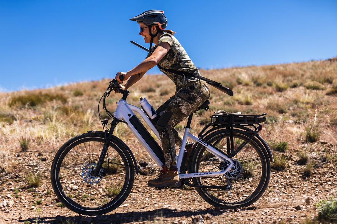 Dirwin Cargo Ebikes – Practical Power for Daily Life Dirwin Bike Dirwin Cargo Ebikes – Practical Power for Daily Life