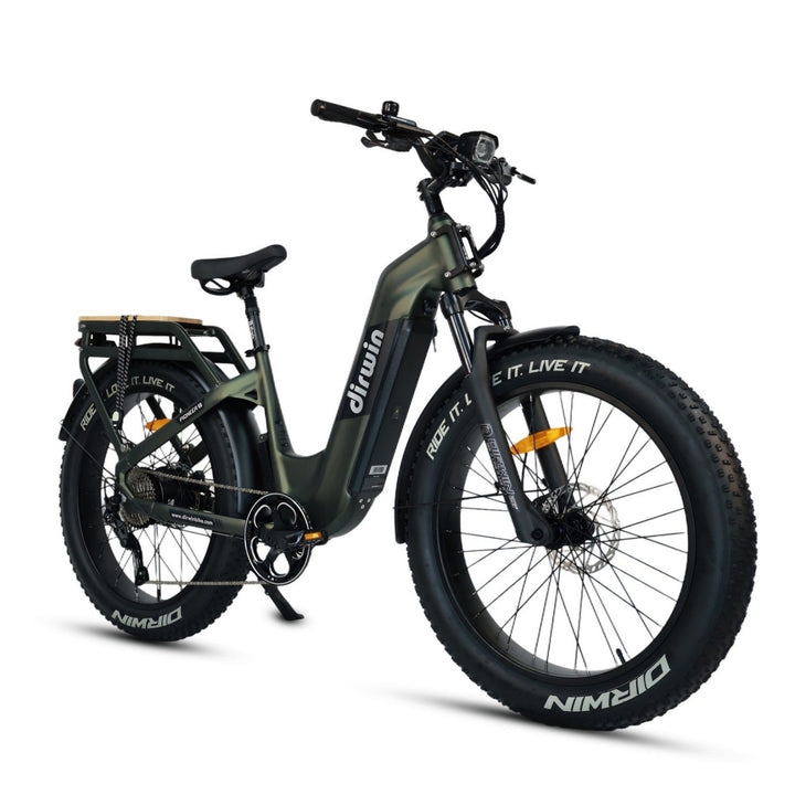 Dog-Friendly Electric Cargo Bikes with Stable Front Cargo