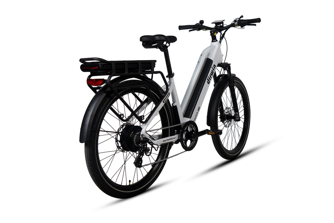 Can Pioneer 2 carry passengers and cargo at the same time?