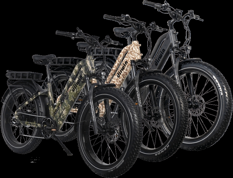 Pioneer 2 Cargo-Capable Electric Bike with 450 lb Capacity