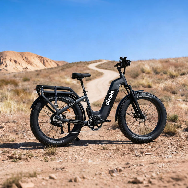 Pioneer 2 Cargo Bike – Flexible and Powerful
