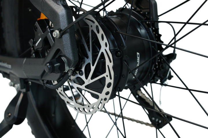 Are cargo ebikes cost-effective long-term?