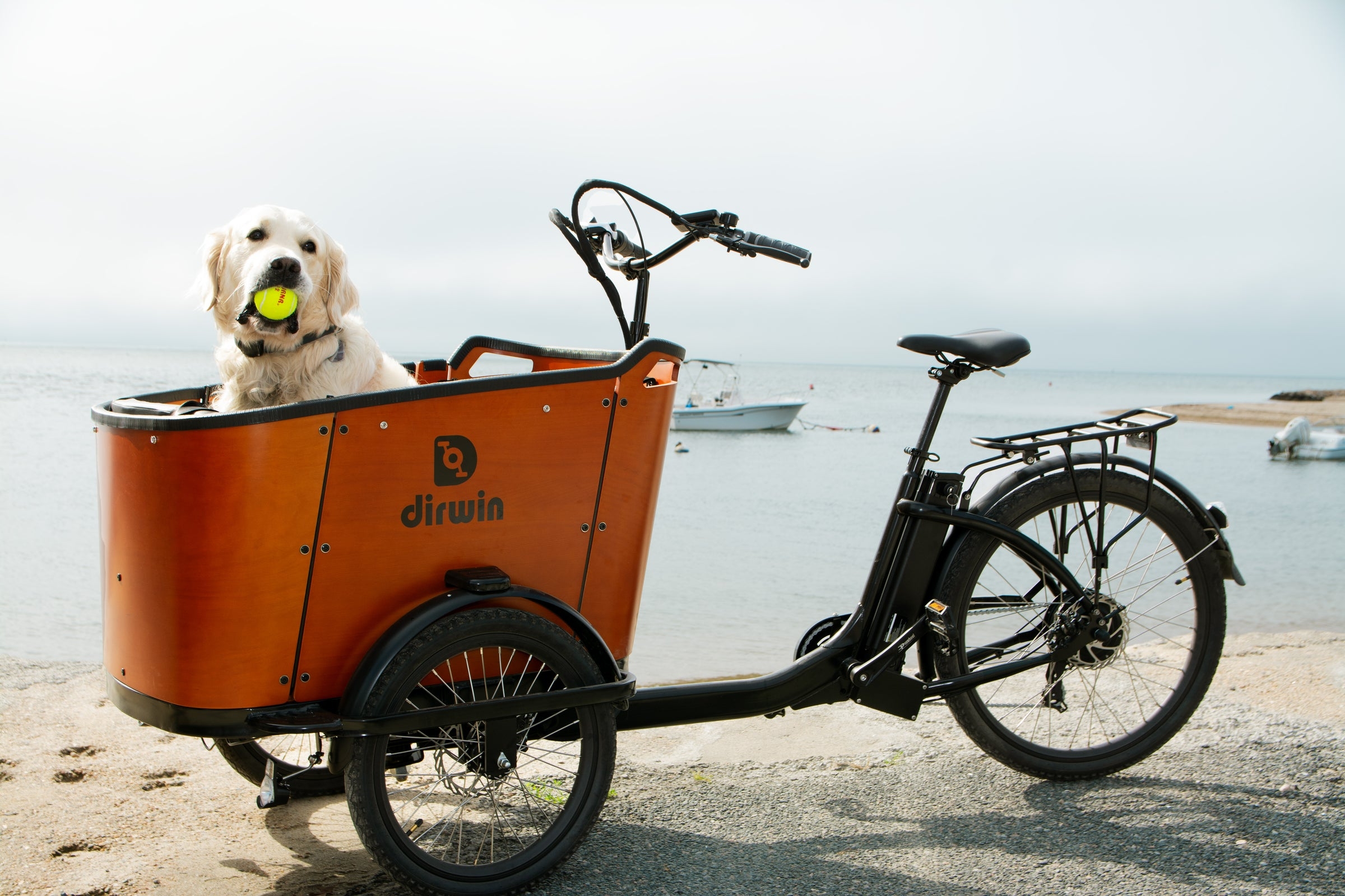 Two-Wheel High-Capacity Cargo Ebikes for Versatility Dirwin Bike Two-Wheel High-Capacity Cargo Ebikes for Versatility